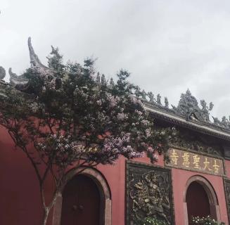 多多28：助力公益活动建设，实现经济效益与社会效益的双赢！